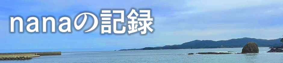 nanaの記録